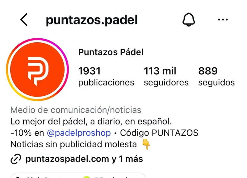 Cabecera del perfil de Instagram de Puntazos Pádel con sus publicaciones, seguidores y biografía